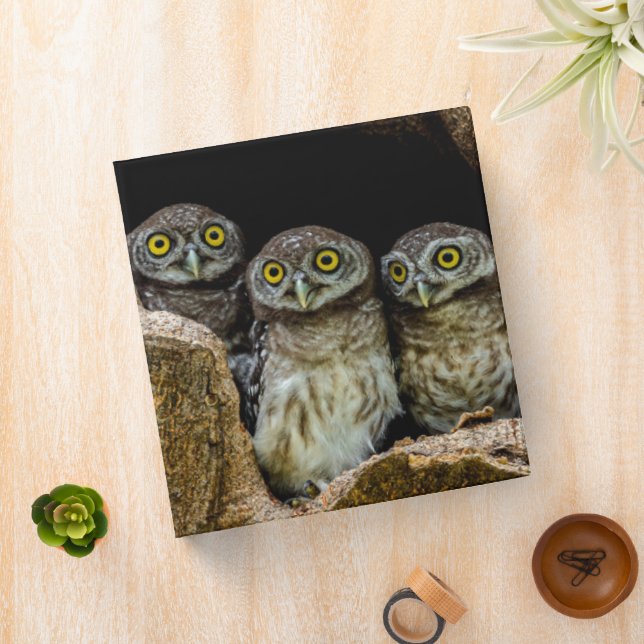Forests | Three Owls Looking 3 Ring Binder (In Situ)