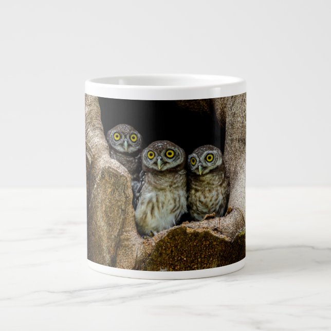 Forests | Three Owls Looking Giant Coffee Mug (Front)