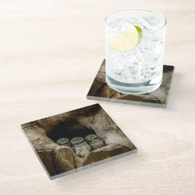 Forests | Three Owls Looking Glass Coaster (Angled)