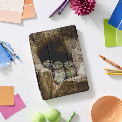 Forests  Three Owls Looking iPad Air Cover