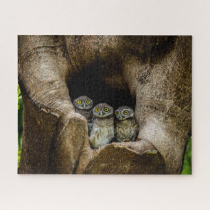 Forests Three Owls Looking Jigsaw Puzzle