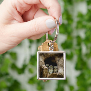 Forests Three Owls Looking Keychain