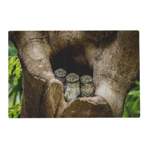 Forests Three Owls Looking Placemat