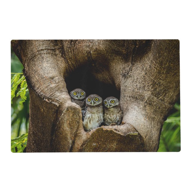 Forests | Three Owls Looking Placemat (Front)