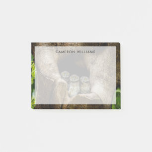 Forests Three Owls Looking Post-it Notes