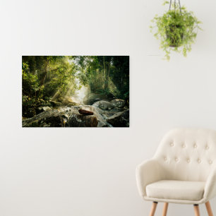 Forests Tropical Jungle Forest Foam Board
