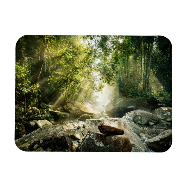 Forests | Tropical Jungle Forest Magnet (Horizontal)