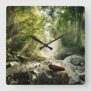 Forests Tropical Jungle Forest Square Wall Clock