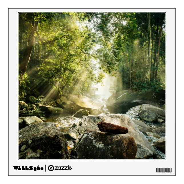 Forests | Tropical Jungle Forest Wall Decal (Front)