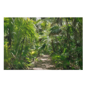 Forests   Tropical Rainforest Tulum Mexico Faux Canvas Print