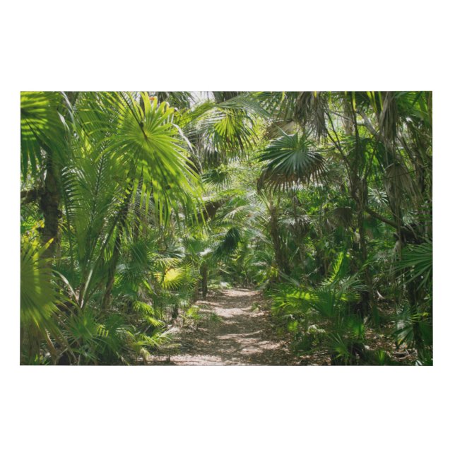 Forests | Tropical Rainforest Tulum Mexico Faux Canvas Print (Front)
