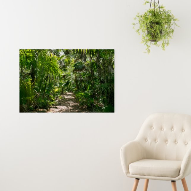 Forests | Tropical Rainforest Tulum Mexico Foam Board (In Situ (Wall))