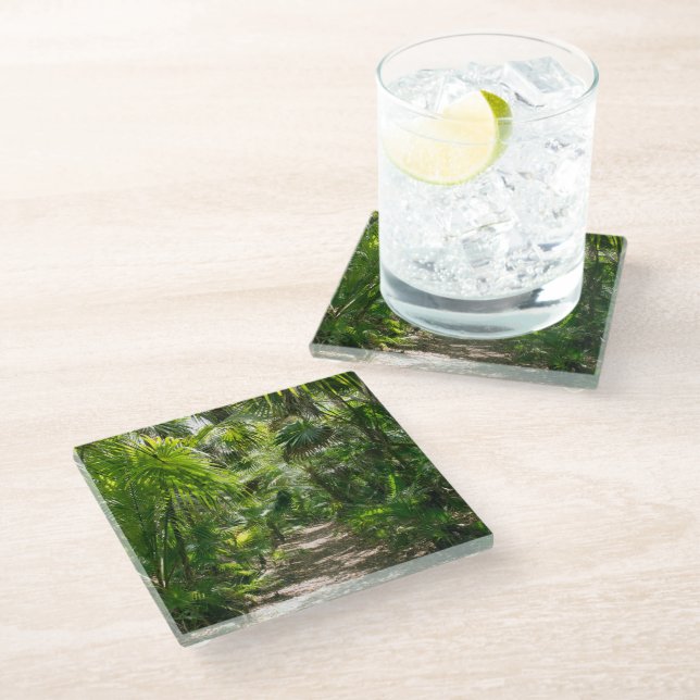 Forests | Tropical Rainforest Tulum Mexico Glass Coaster (Angled)