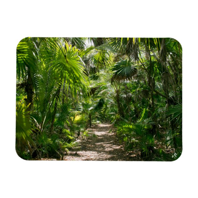 Forests | Tropical Rainforest Tulum Mexico Magnet (Horizontal)
