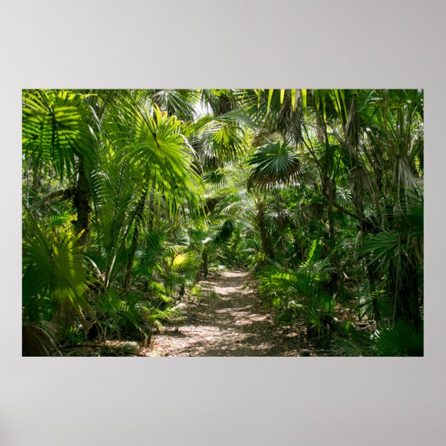 Forests | Tropical Rainforest Tulum Mexico Poster (Front)