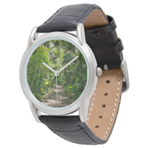 Forests Tropical Rainforest Tulum Mexico Watch
