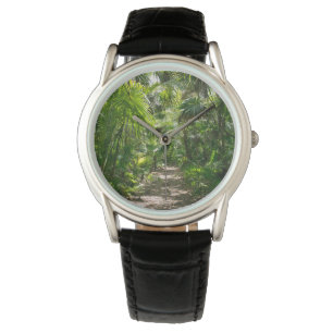 Forests Tropical Rainforest Tulum Mexico Watch