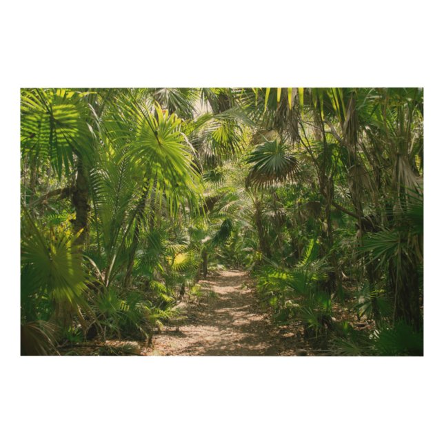 Forests | Tropical Rainforest Tulum Mexico Wood Wall Art (Front)