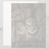 Forests | Two Owls Looking (Front/Back)