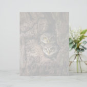 Forests | Two Owls Looking (Standing Front)