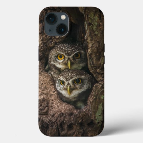 Forests  Two Owls Looking iPhone 13 Case