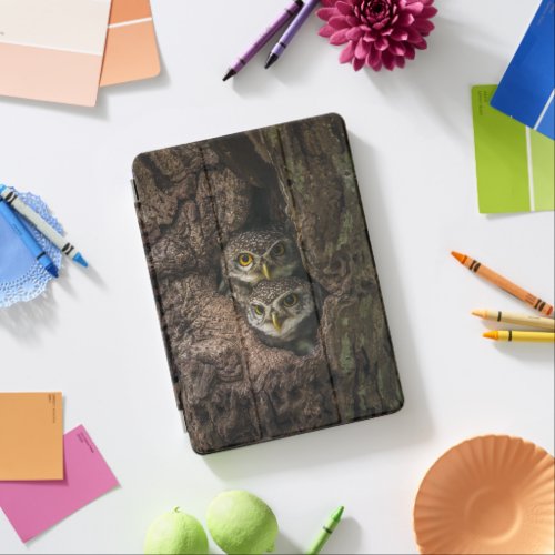 Forests  Two Owls Looking iPad Air Cover