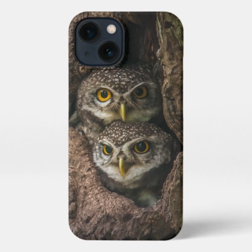 Forests  Two Owls Looking iPhone 13 Case