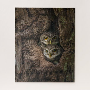 Forests Two Owls Looking Jigsaw Puzzle