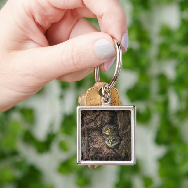 Forests | Two Owls Looking Keychain (Hand)