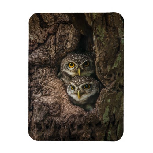 Forests  Two Owls Looking Magnet