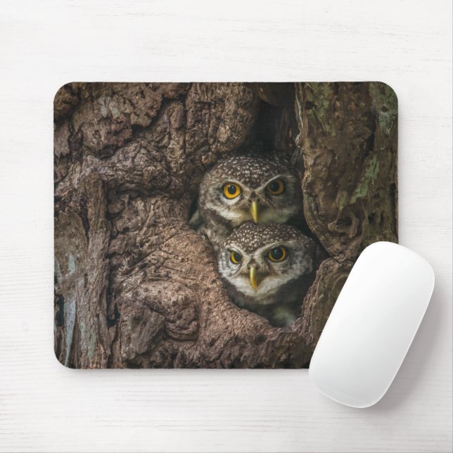 Forests | Two Owls Looking Mouse Pad (With Mouse)