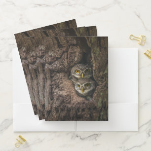 Forests   Two Owls Looking Pocket Folder