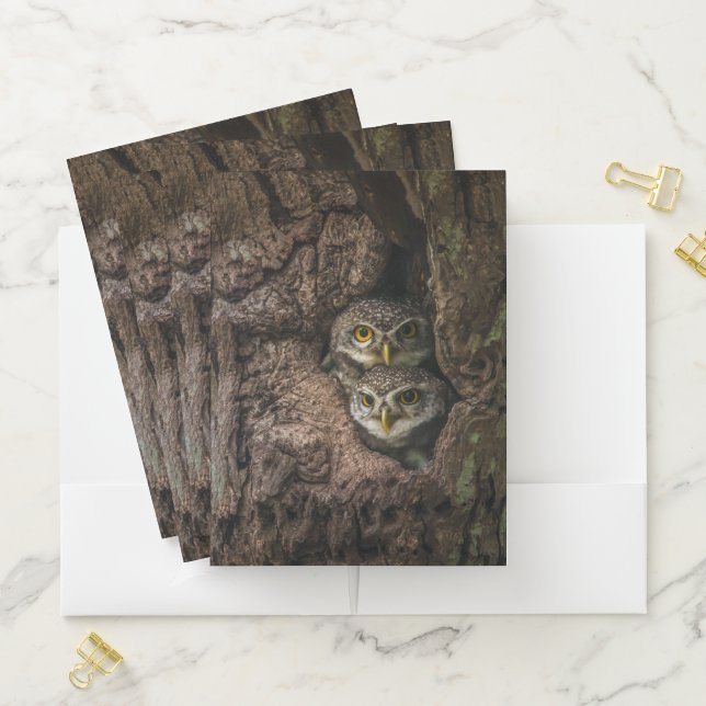 Forests | Two Owls Looking Pocket Folder (In Situ)