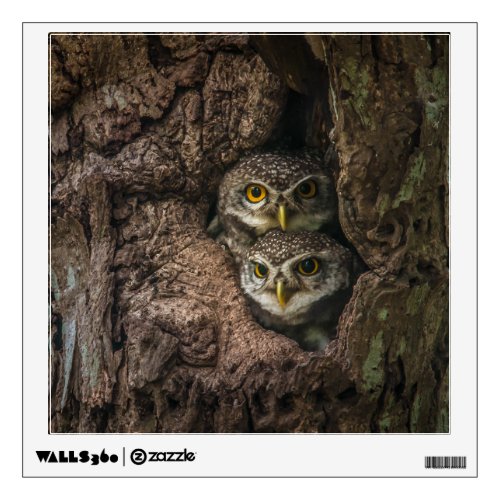 Forests  Two Owls Looking Wall Decal