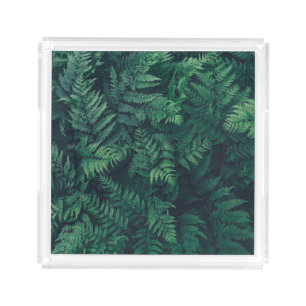 Forests   Woodland Ferns Acrylic Tray