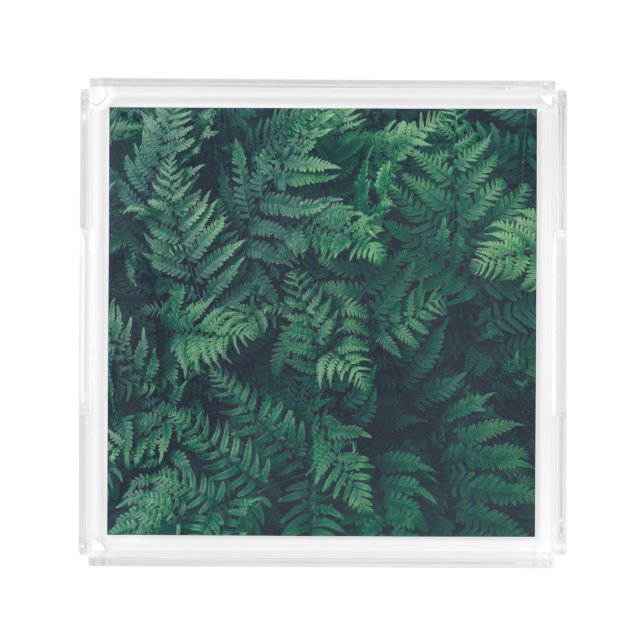 Forests | Woodland Ferns Acrylic Tray (Front)