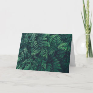 Forests Woodland Ferns Card