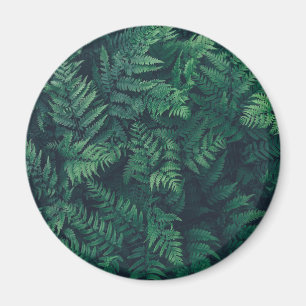 Forests Woodland Ferns Magnet