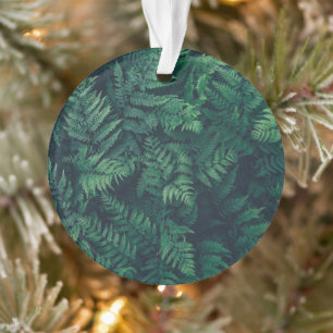 Forests Woodland Ferns Ornament