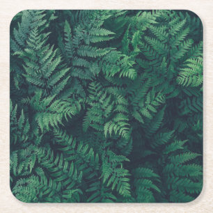 Forests   Woodland Ferns Square Paper Coaster