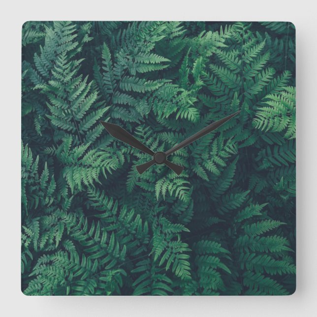 Forests | Woodland Ferns Square Wall Clock (Front)