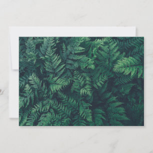 Forests   Woodland Ferns Thank You Card