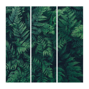 Forests Woodland Ferns Triptych