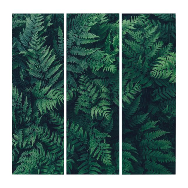 Forests | Woodland Ferns Triptych (Front)