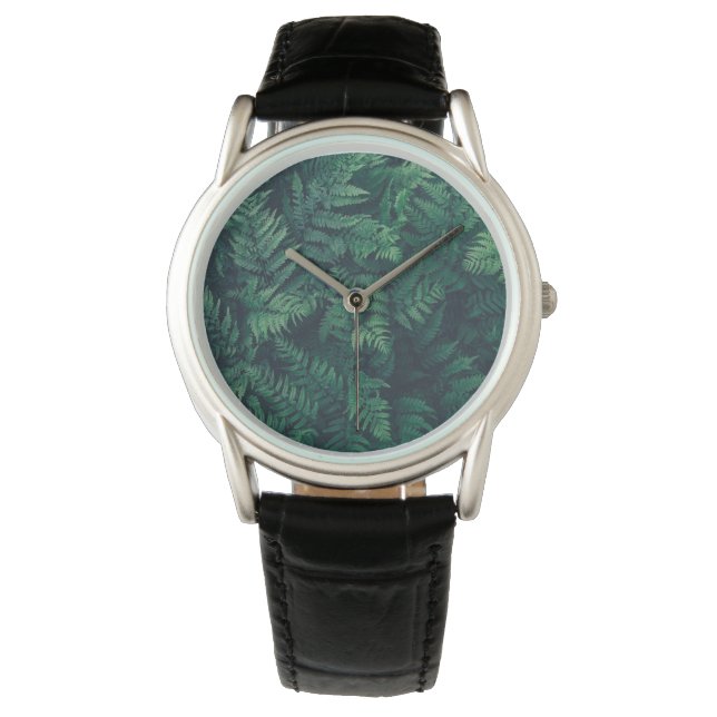 Forests | Woodland Ferns Watch (Front)