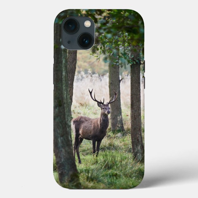 Forests | Woodlands & Red Deer Case-Mate iPhone Case (Back)