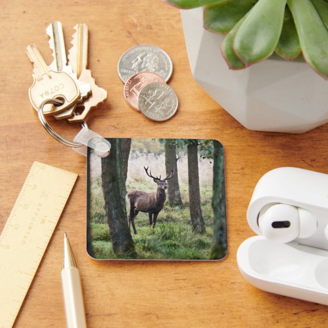 Forests | Woodlands & Red Deer Keychain (Desk)