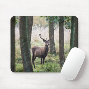 Forests   Woodlands & Red Deer Mouse Pad