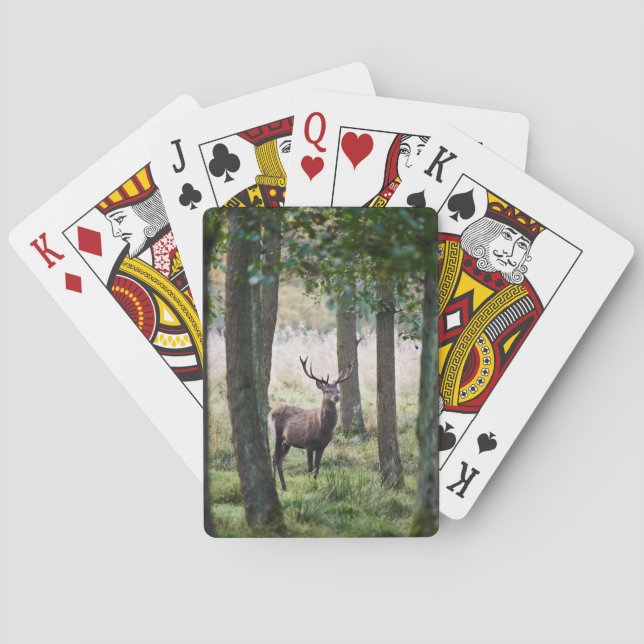 Forests | Woodlands & Red Deer Poker Cards (Back)
