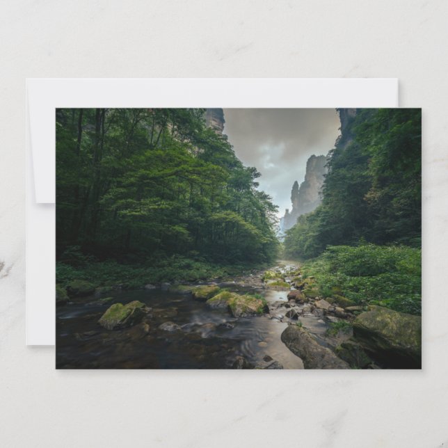 Forests | Zhangjiajie National Forest Park Thank You Card (Front)